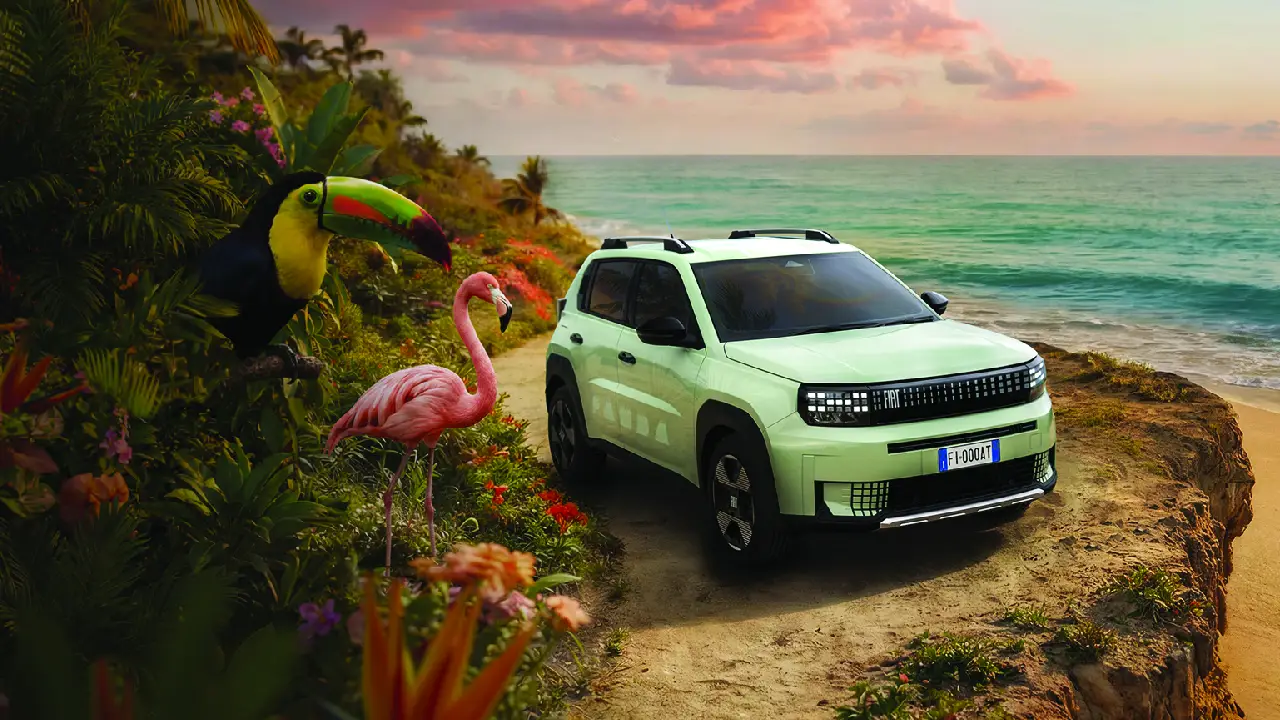 Fiat Grande Panda con Tucano e Fenicottero sulla spiaggia