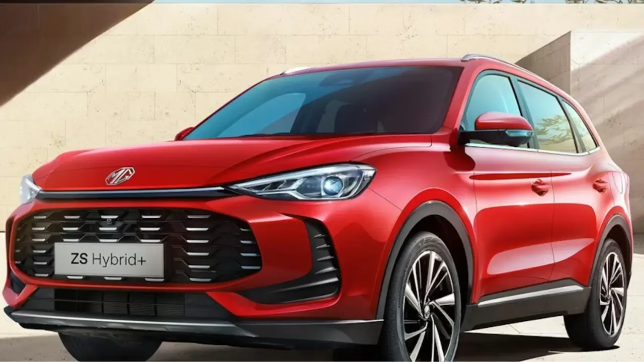 Mg zs Ibrida rossa in primo piano