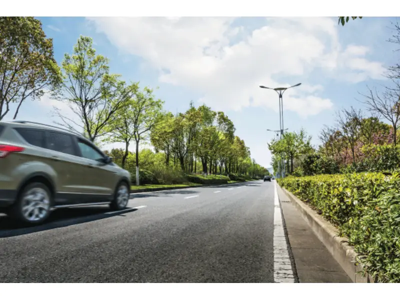 Auto verde che corre su strada con paesaggio con siepi