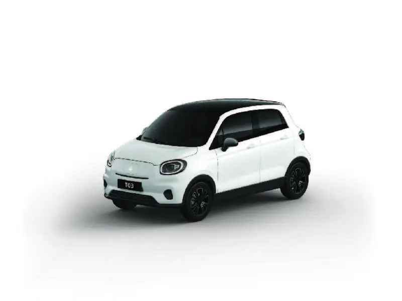 Immagine Nuova leapmotor T03 Van